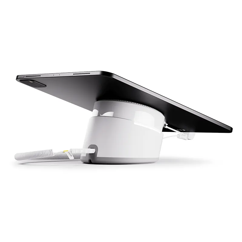 Tablet Alarm System Security Display Stand